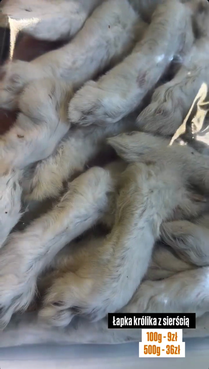 DK Dog Łapka Królika z Sierścią – Naturalny Gryzak dla Psa