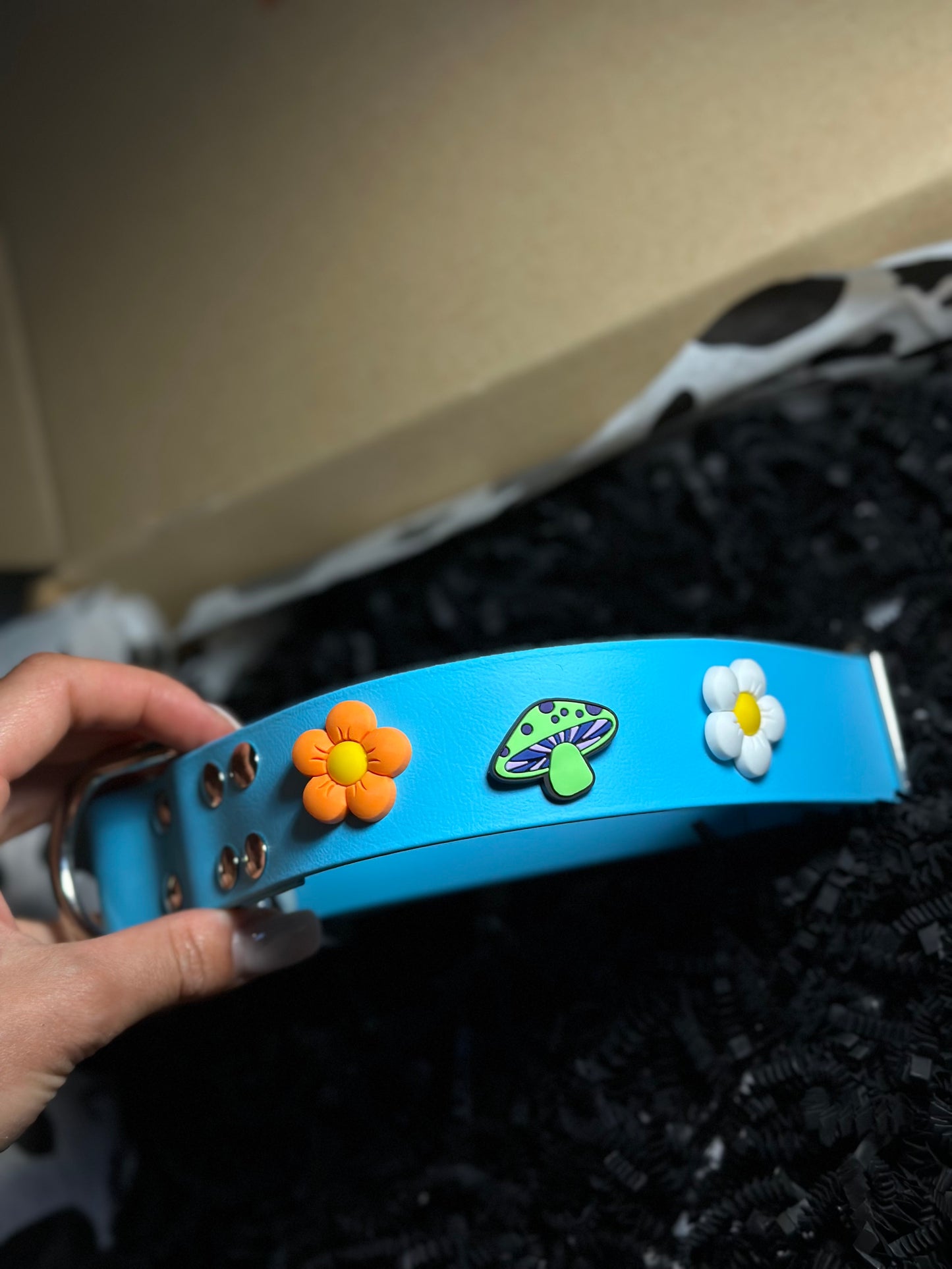 Personalizowana obrożą Biothane 38mm z oryginalną klamrą Cobra i pinami