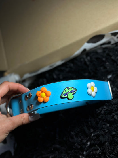 Personalizowana obrożą Biothane 38mm z oryginalną klamrą Cobra i pinami
