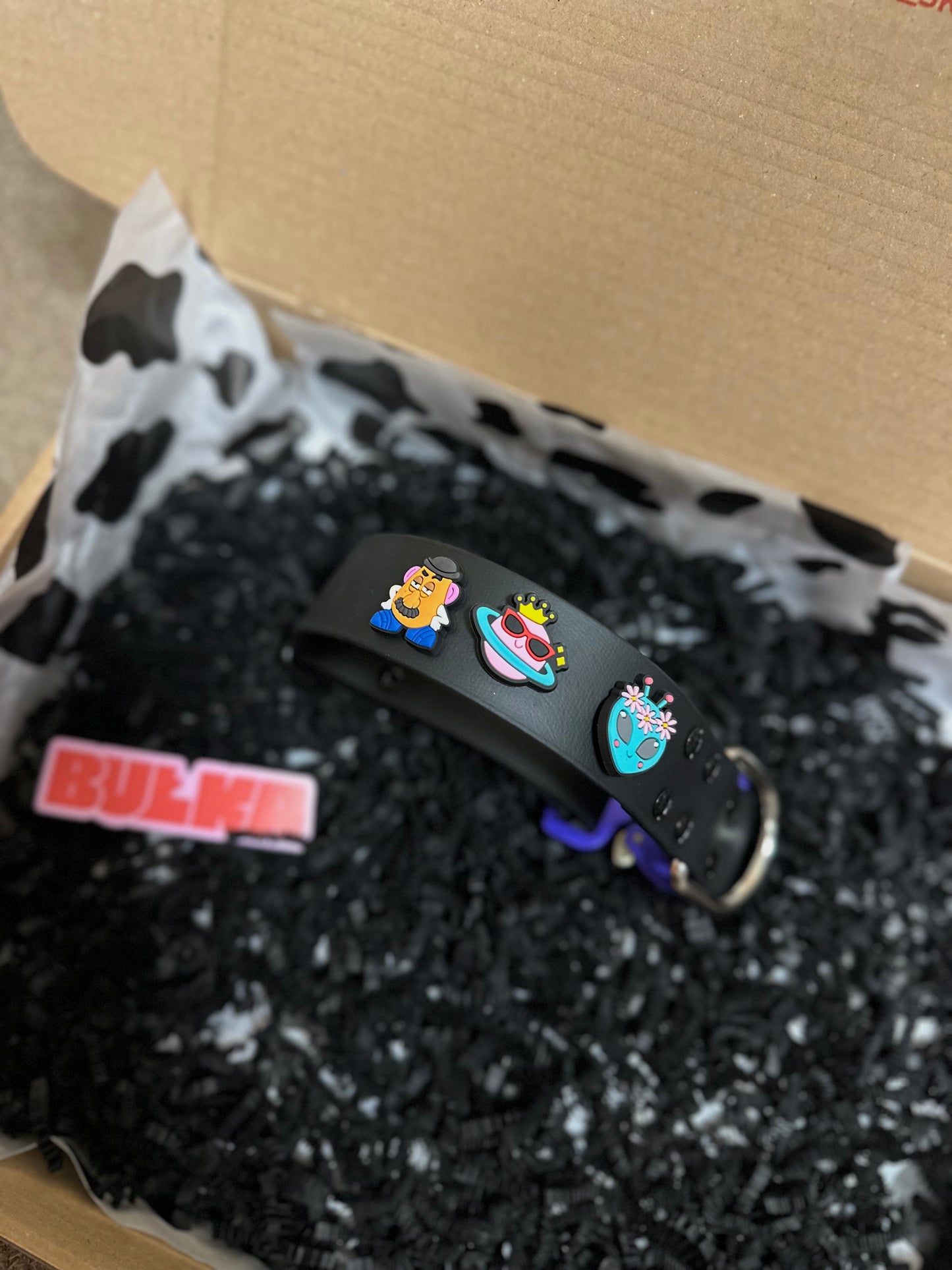 Personalizowana obrożą Biothane 38mm z oryginalną klamrą Cobra i pinami