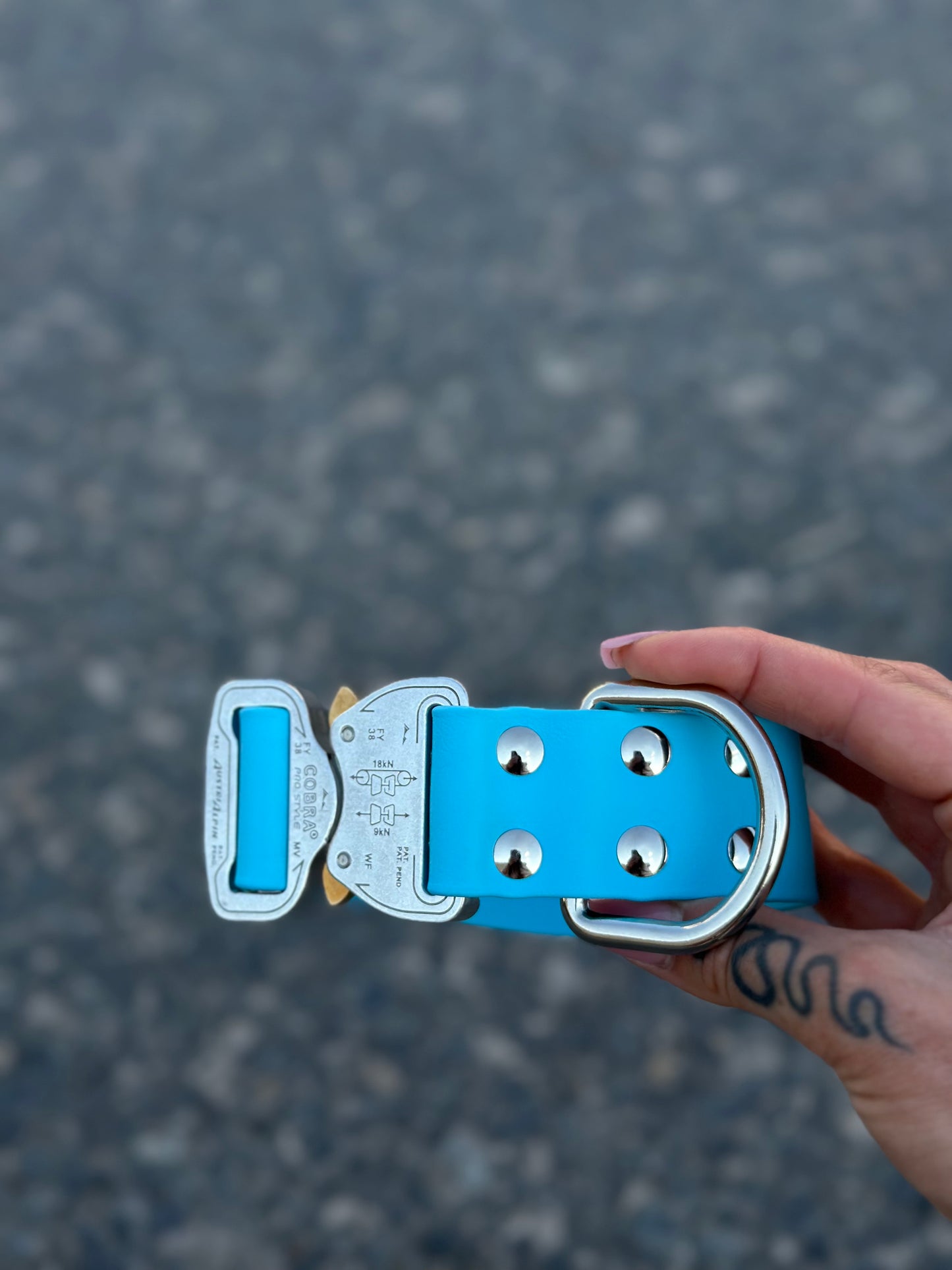 Personalizowana obrożą Biothane 38mm z oryginalną klamrą Cobra i pinami