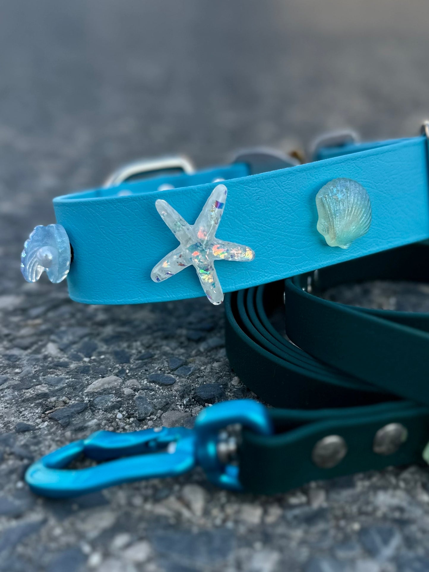 Personalizowana obrożą Biothane 38mm z oryginalną klamrą Cobra i pinami