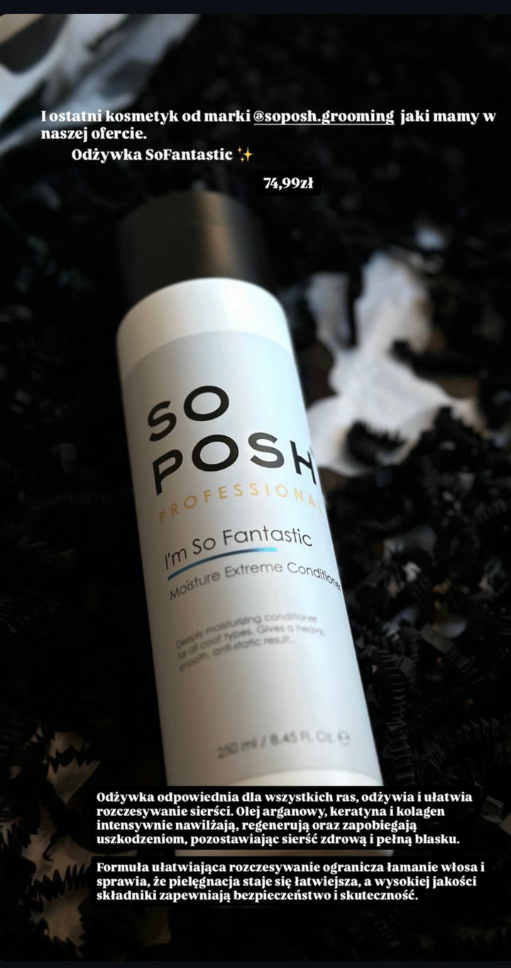 So Posh Professional – I'm So Fantastic Moisture Extreme Conditioner 250ml