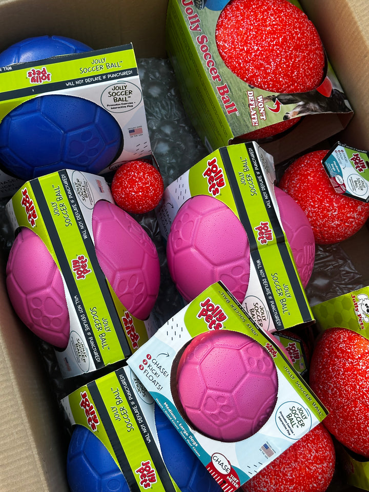 PIŁKA JOLLY PETS SOCCER M